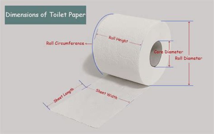 Unraveling The Mystery Of Toilet Paper Roll Circumference